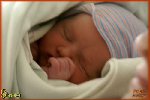 Zorba's New Grandkid!