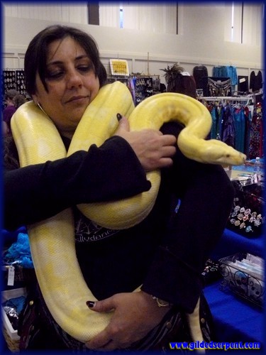 Paloma holds the Gilded Serpent