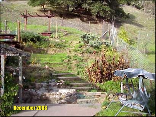 Dec 2003